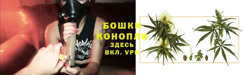 Шишки марихуана SATIVA & INDICA  Поронайск 